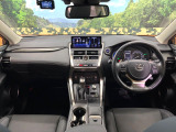 NX 300h スパイス&シック 