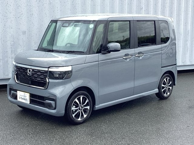 N-BOXカスタム コーディネートスタイル モノトーン 