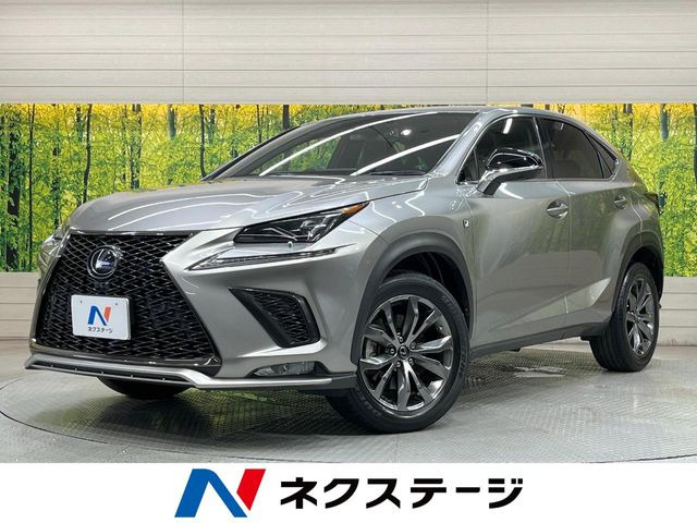NX 300 Fスポーツ 