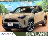 バックカメラ ブラインドスポットモニター セーフティセンス ハーフレザー