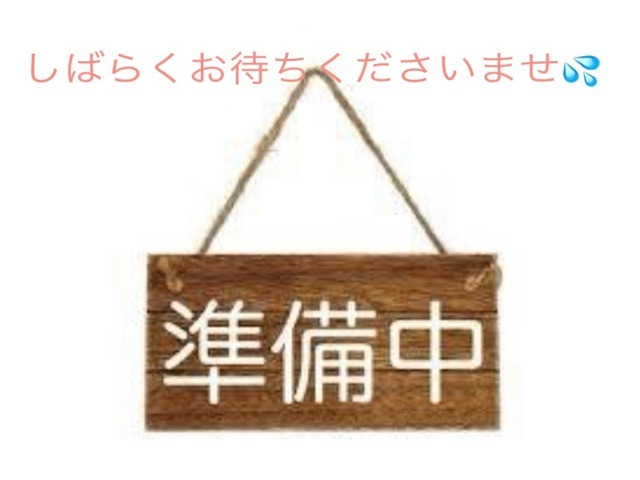 アルトラパン X 