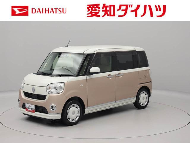 ムーヴキャンバス G メイクアップ SAIII 
