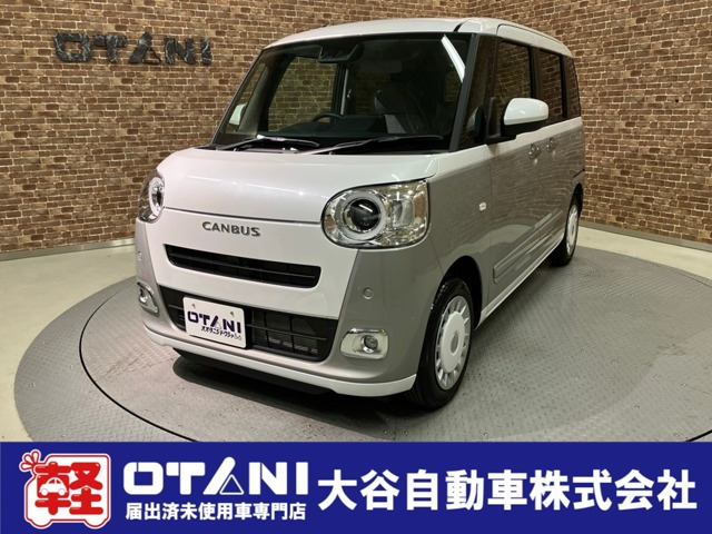 ムーヴキャンバス  ストライプス G