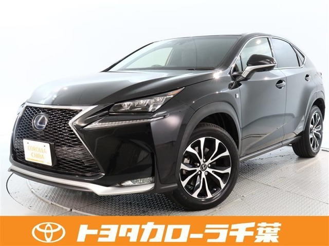 NX 300h Fスポーツ 