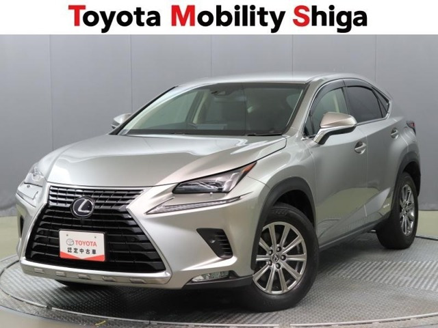 NX 300h Iパッケージ 