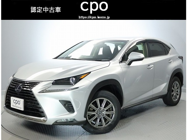 NX 300h 