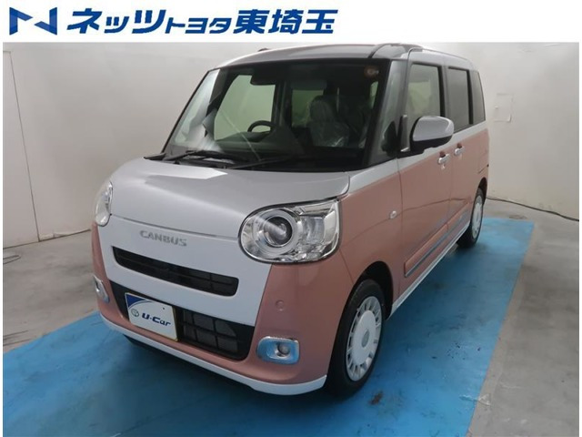 ムーヴキャンバス  ストライプス G