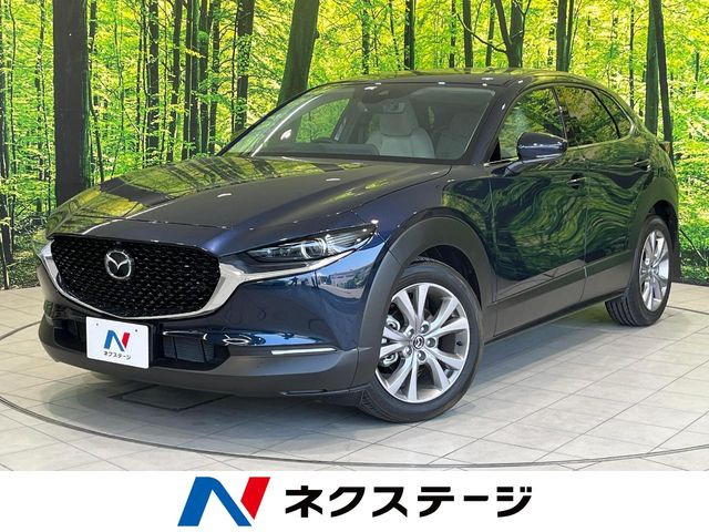 CX-30 2.0 20S プロアクティブ 