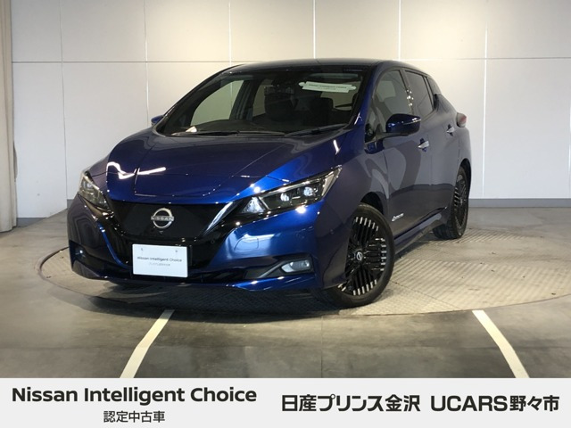 リーフ G 