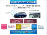 N-BOXカスタム G SSパッケージ 