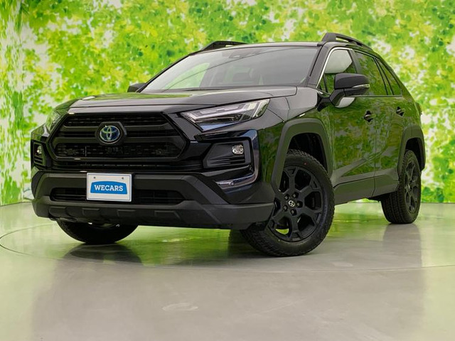 RAV4 2.5 ハイブリッド アドベンチャー オフロードパッケージ II E-Four 4WD 