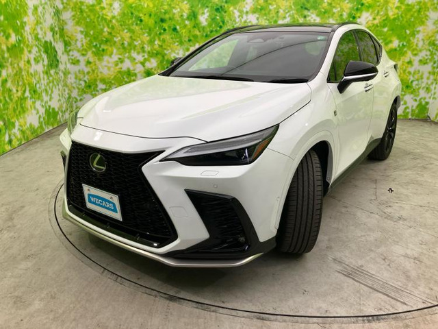 NX 350h Fスポーツ 