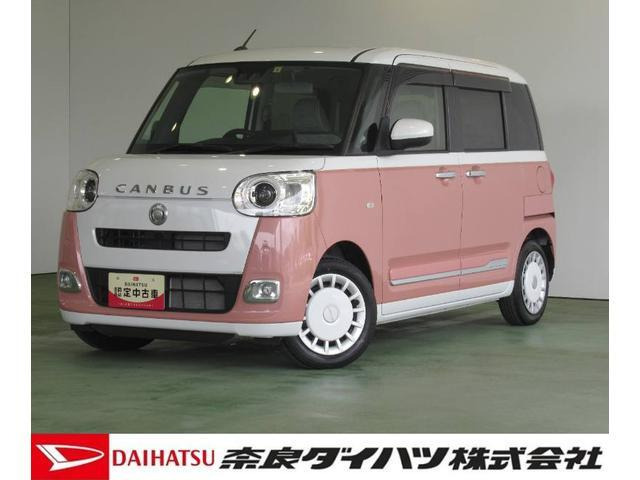 ムーヴキャンバス  ストライプス G