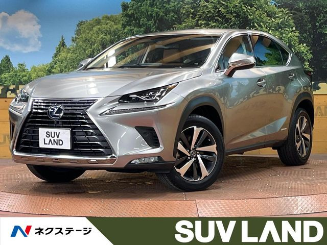 NX 300h Iパッケージ 