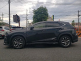 NX 300h Fスポーツ 
