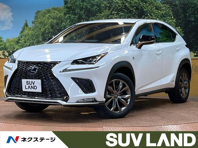NX 300h Fスポーツ 