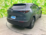 CX-30 2.0 20S 