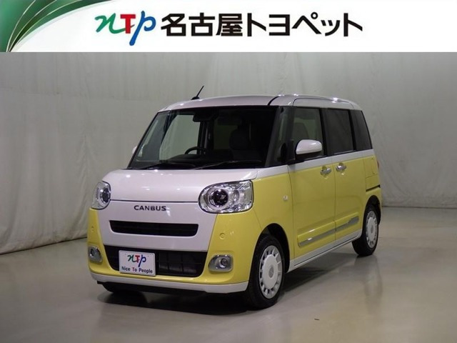 ムーヴキャンバス  ストライプス G