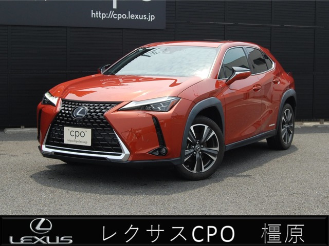 UX 250h バージョンC 