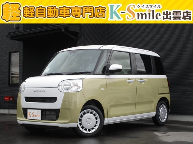 ムーヴキャンバス  ストライプス X