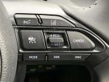 前方の車との車間を設定し、スピードを上げたり緩めたりを自動で行ってくれる追尾式の「レーダークルーズ」。上級装備の一つです!高級車にしかつかない嬉しい機能です。
