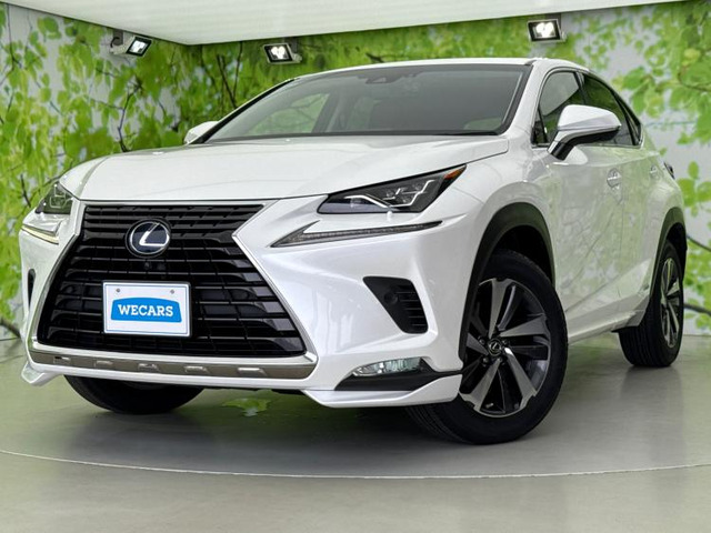 NX 300h Iパッケージ 