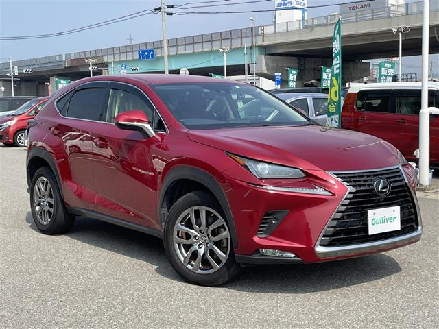 NX 300 修復歴無し