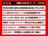 ヴェルファイア 2.4 Z ゴールデンアイズII サンルーフ アルパインBIGーX