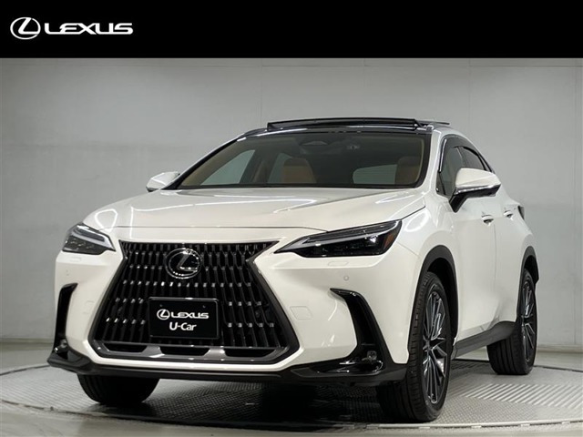 NX 250 バージョンL NX 250 バージョンL