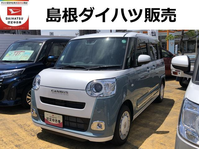 ムーヴキャンバス  ストライプス G