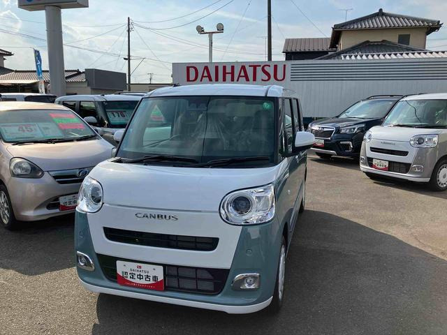 ムーヴキャンバス  ストライプス G