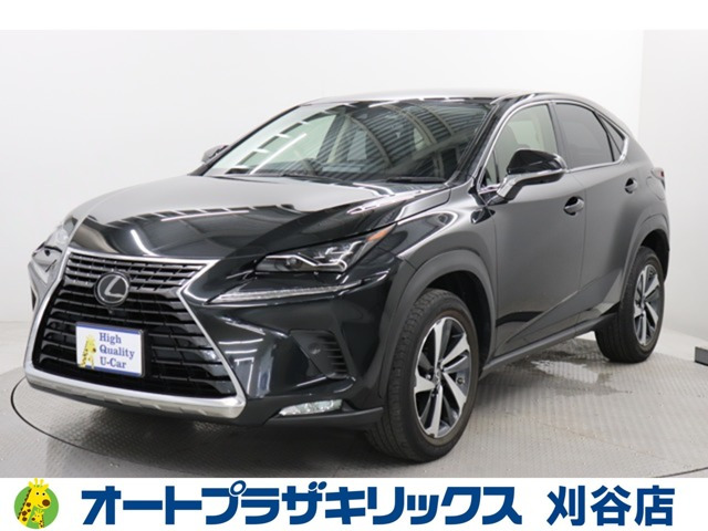 NX 300 バージョンL 
