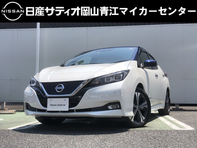 リーフ G 