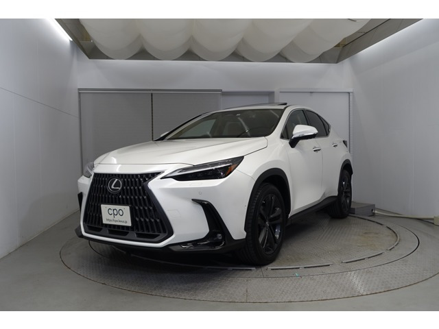 NX 350h バージョンL 