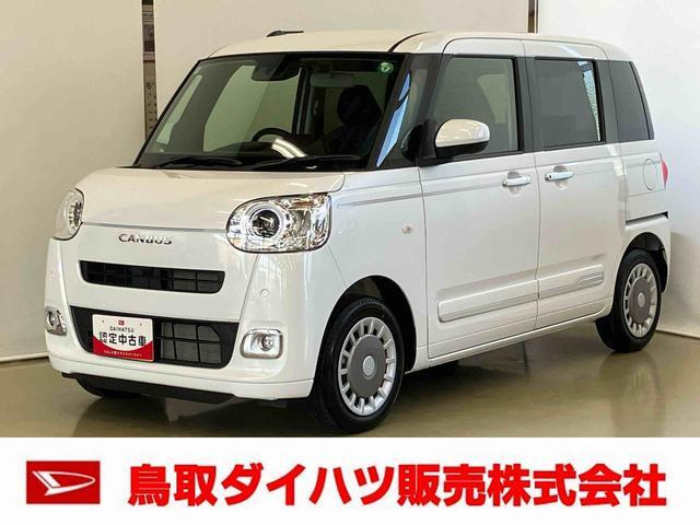 ムーヴキャンバス  セオリー G