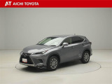 NX 300h Iパッケージ 
