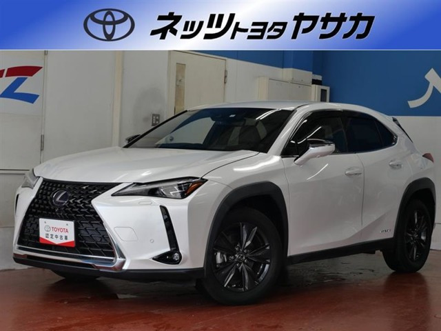 UX250hブラウン エディション