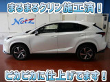 NX 300 スパイス&シック