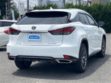 RX 300 Fスポーツ 