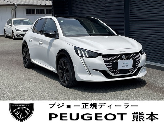 e-208GT