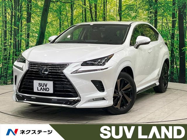 NX 300h バージョンL 