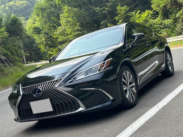 ES 300h 