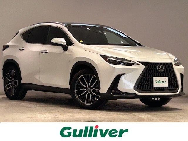 NX 250 バージョンL 本革シート サンルーフ