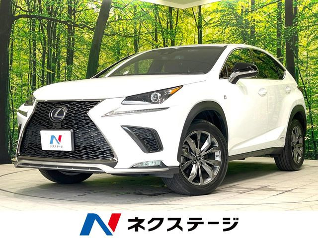 NX 300h Fスポーツ 