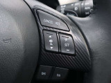 ミリ波レーダーで先行車との速度差や車間距離を認識。設定した車速内での車間距離を自動で調整・維持して、アクセル・ブレーキの操作なしで長距離ドライブの負担も軽減してくれます。