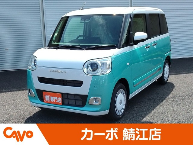 ムーヴキャンバス  ストライプス G