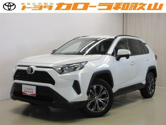 RAV4 2.0 X 