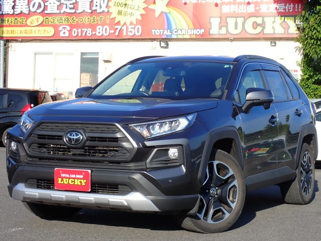 RAV4 2.0 アドベンチャー 4WD 