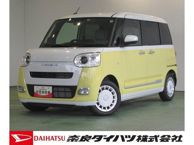 ムーヴキャンバス  ストライプス G