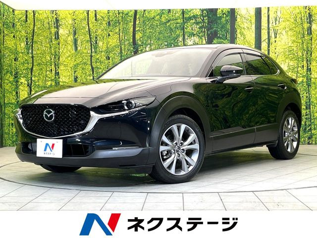CX-301.8 XD プロアクティブ